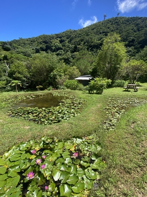 【素泊まり】きれいな川が流れるやんばるの森を堪能する宿